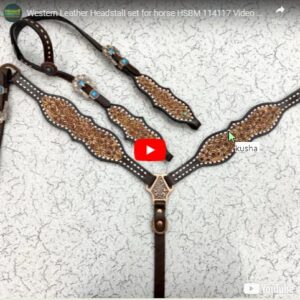 Headstall And Breastcollar Set (HSBM 114117)