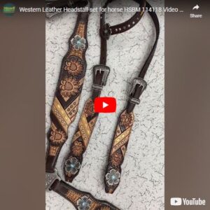 Headstall And Breastcollar Set (HSBM 114118)