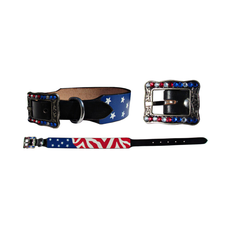 PET DOG COLLARS& LEASHES MDC 27425