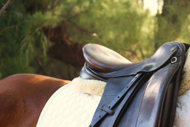 Difference Between Western Saddle and English Saddle