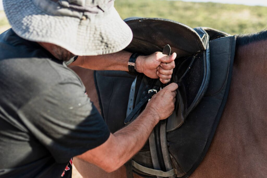 How To Measure Western Saddle Seat Size