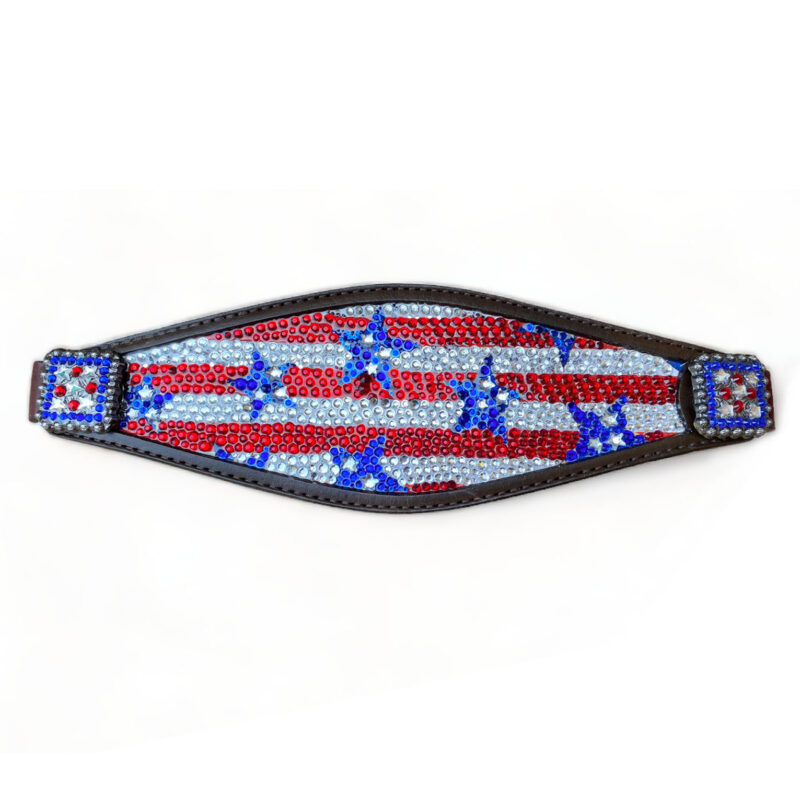 Star Print Bronc Halter