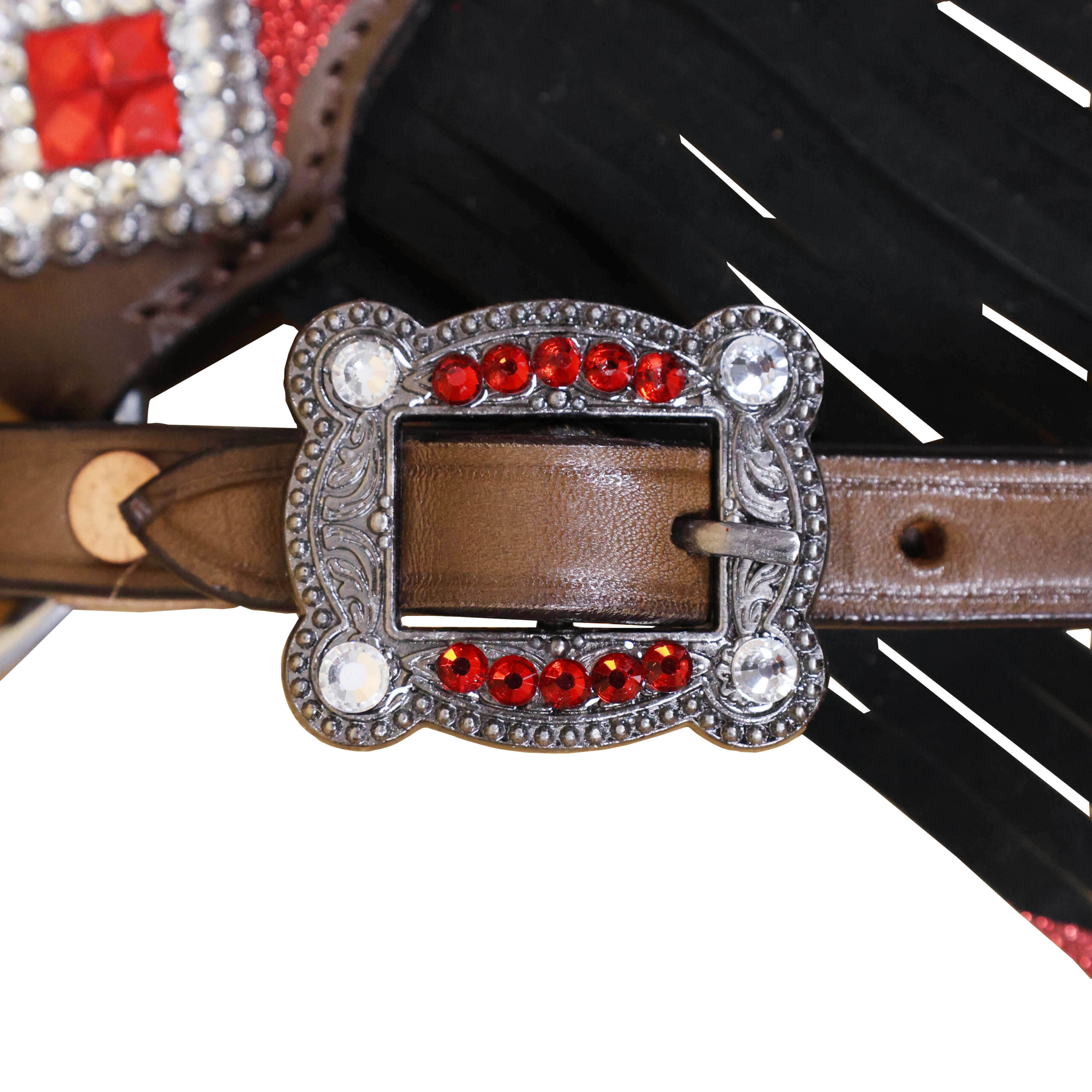 Western Leather Headstall Tack Set (HSBM 114319) - Image 5
