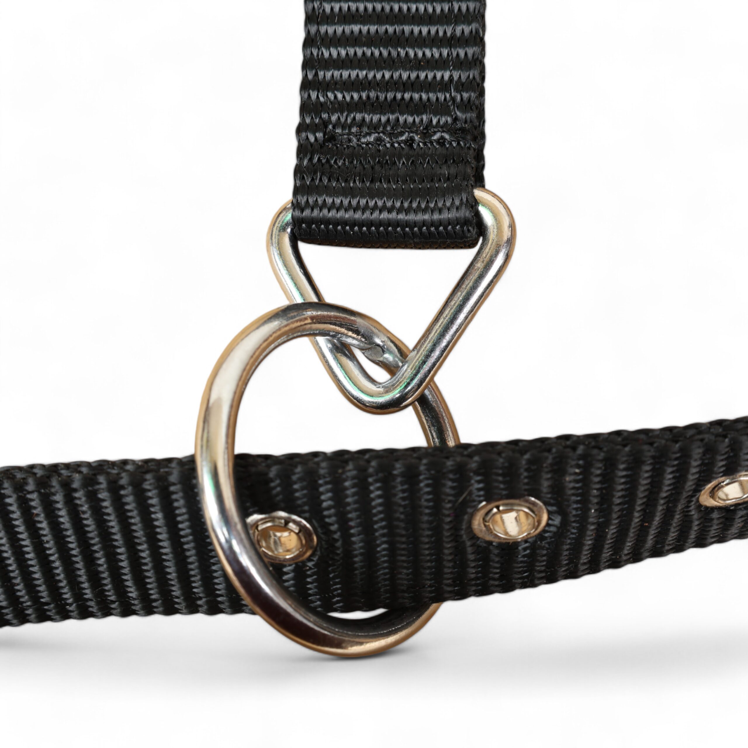 Acid Wash Hair on Leather Bronc Halter BHM 2713157 - Image 5