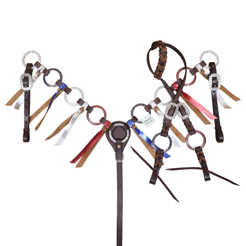 Western Leather Headstall and Breast Collar tack Set decorated with red royal white engraved hand painted rings with matching fringe and twisted braiding on cheek piece and one ear