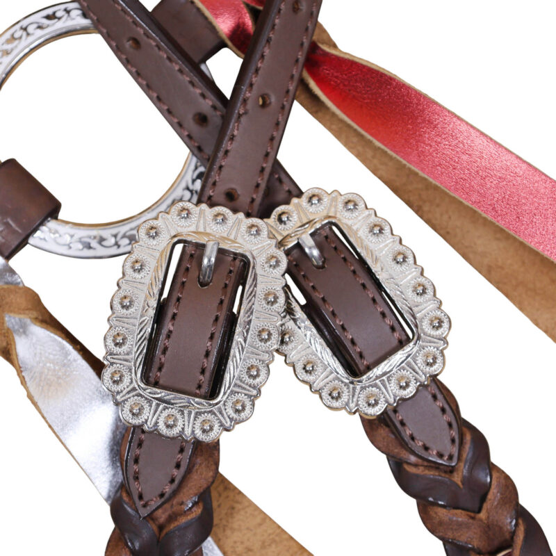 Headstall and Breast Collar tack Set decorated with red royal white engraved hand painted rings with matching fringe and twisted braiding on cheek piece and one ear