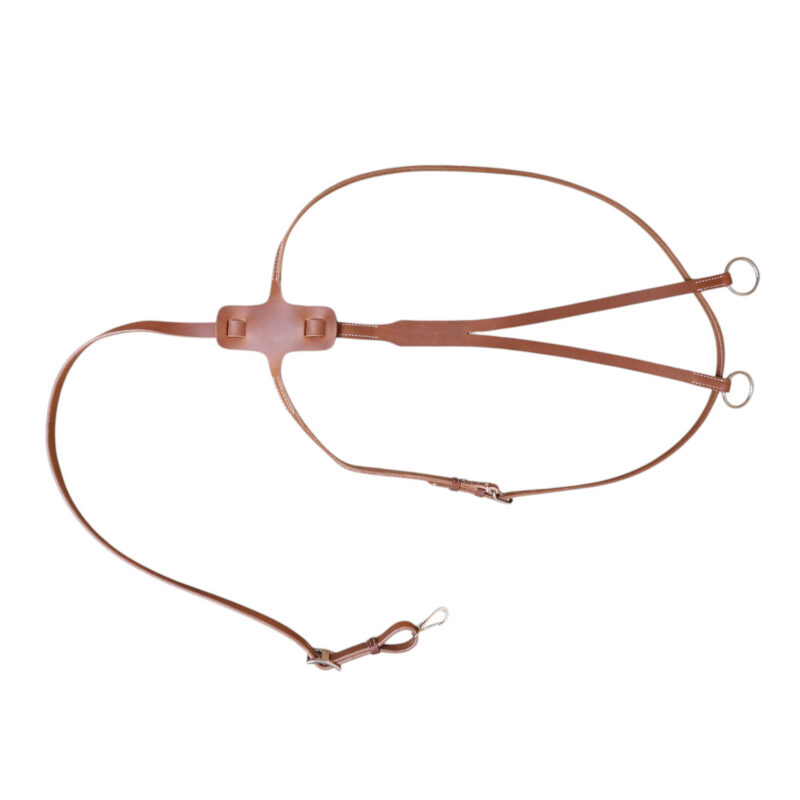 Leather Martingale