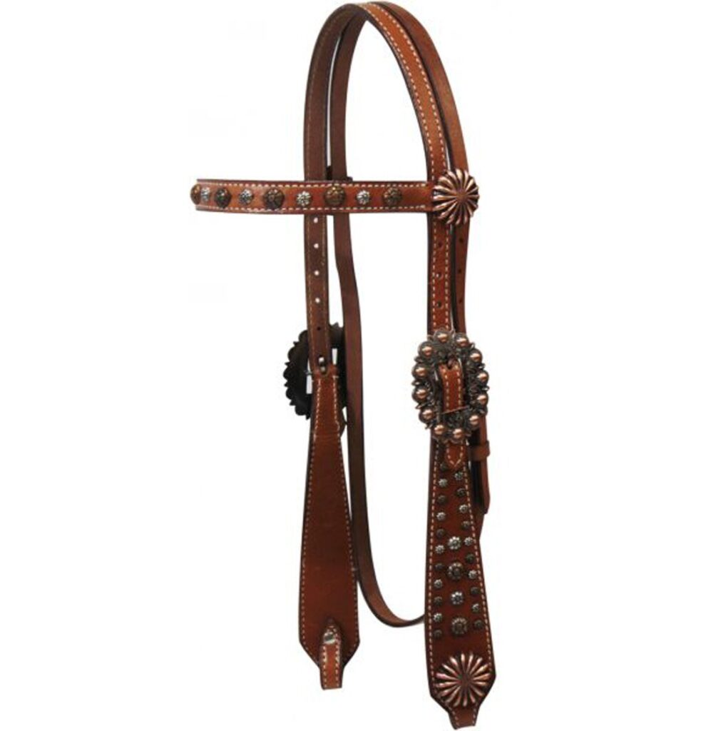 headstall-vs-bridle