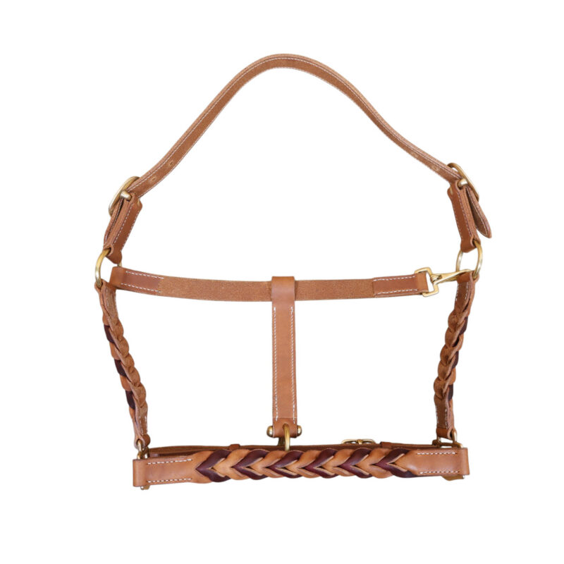 Leather Halter with Braided Nose band and Cheeks and Brass fitting (MHT-L 3330153 )