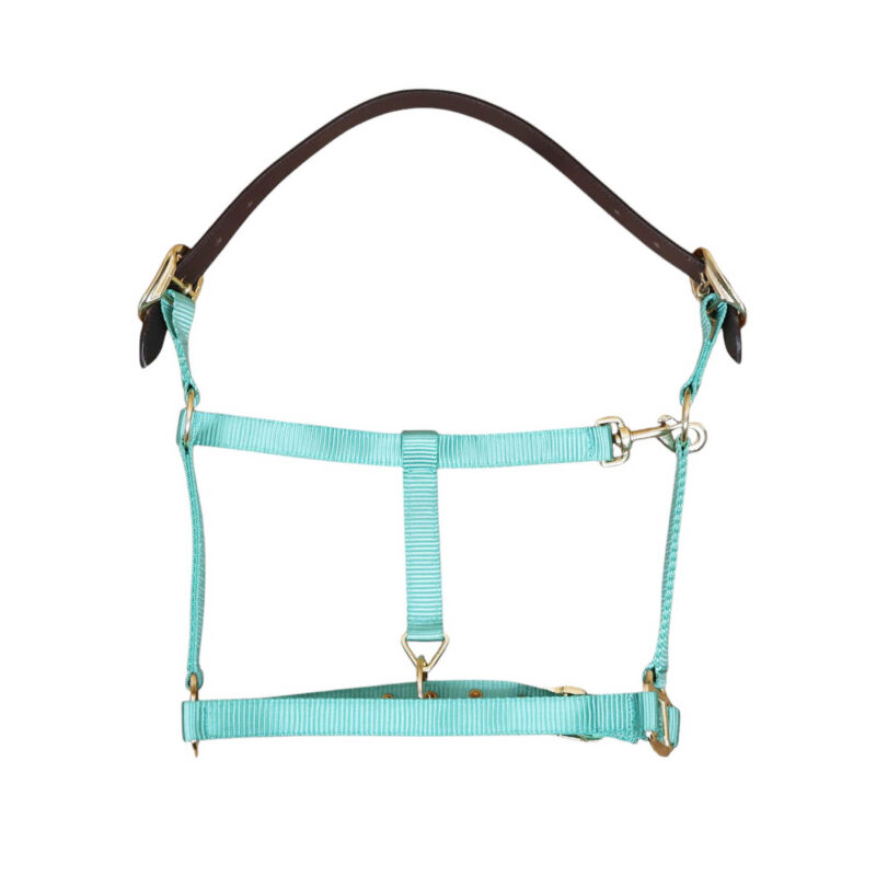 Nylon Horse Halter with Zinc Hardware and Leather Crown (MNYH 114307)
