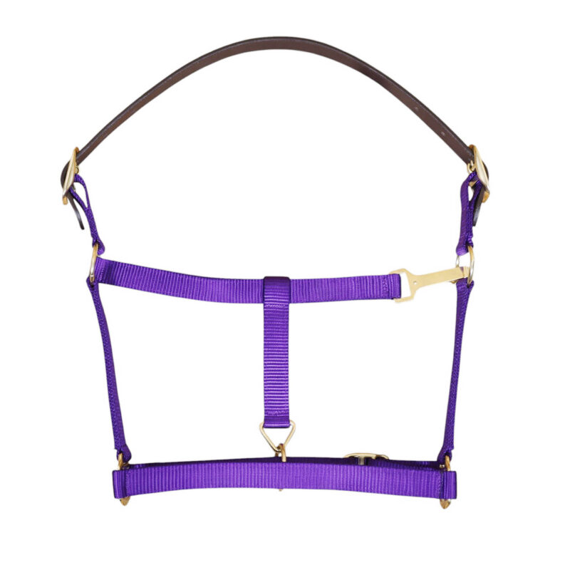 Nylon Horse Halter with Iron Hardware and Leather Crown (MNYH 114308)