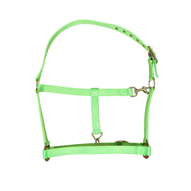 Nylon Halter with Zinc Hardware (MNYH 114306)