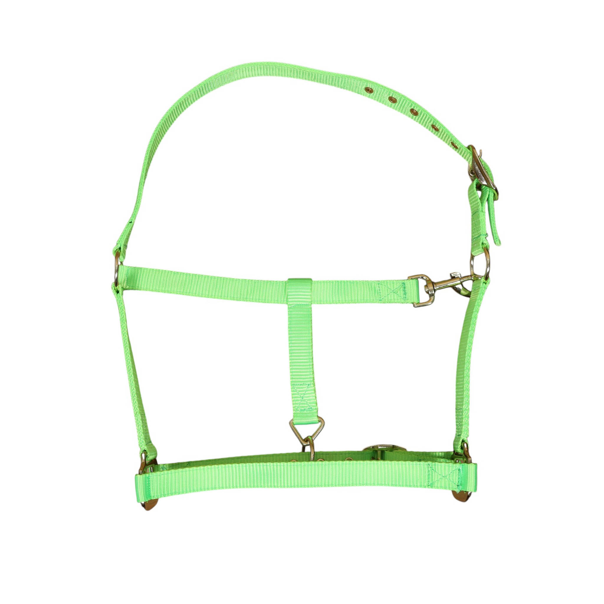 Nylon Halter with Zinc Hardware (MNYH 114306)