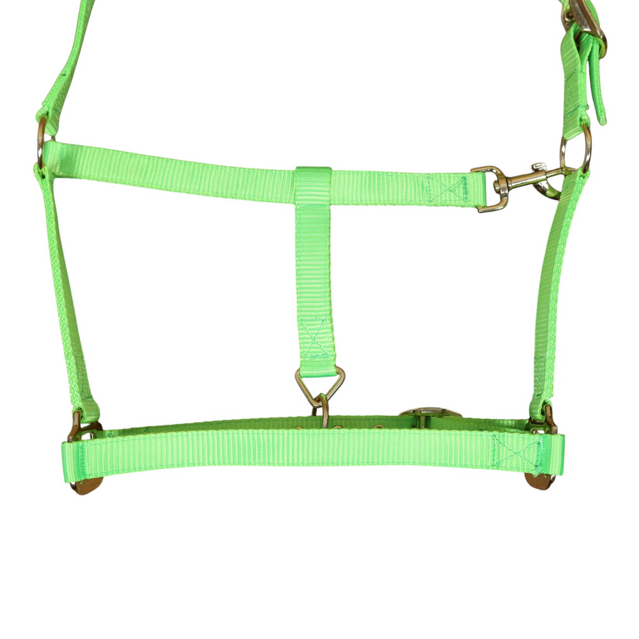 Nylon Halter with Zinc Hardware (MNYH 114306) - Image 2