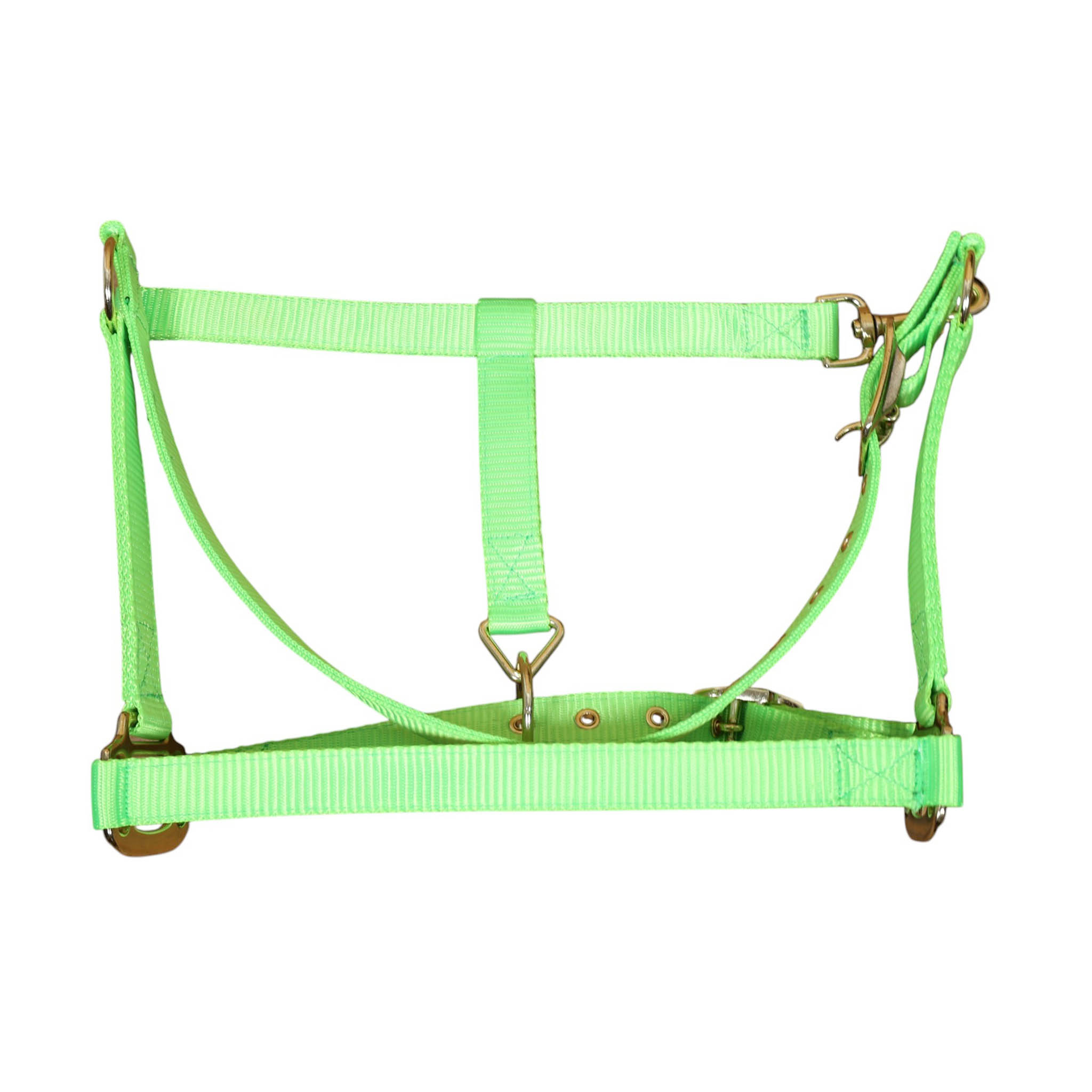Nylon Halter with Zinc Hardware (MNYH 114306) - Image 4