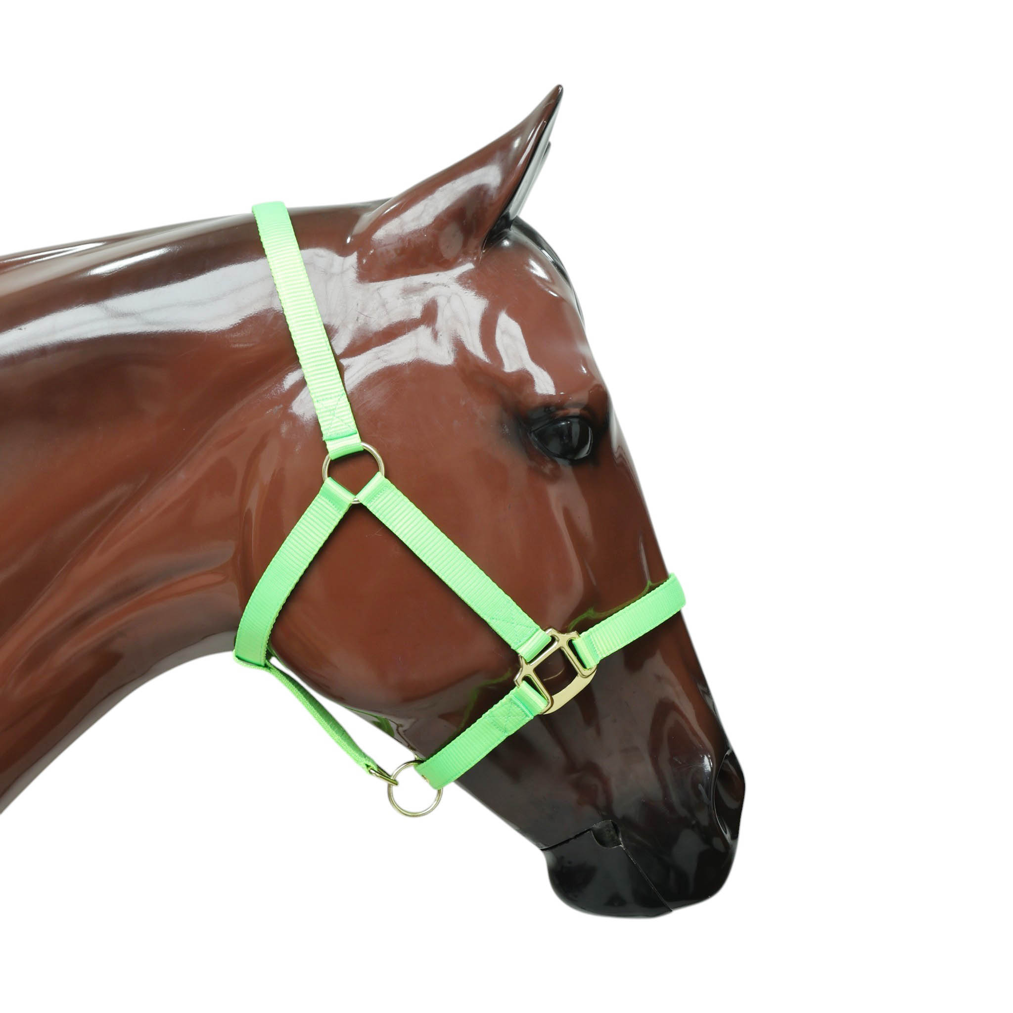 Nylon Halter with Zinc Hardware (MNYH 114306) - Image 5