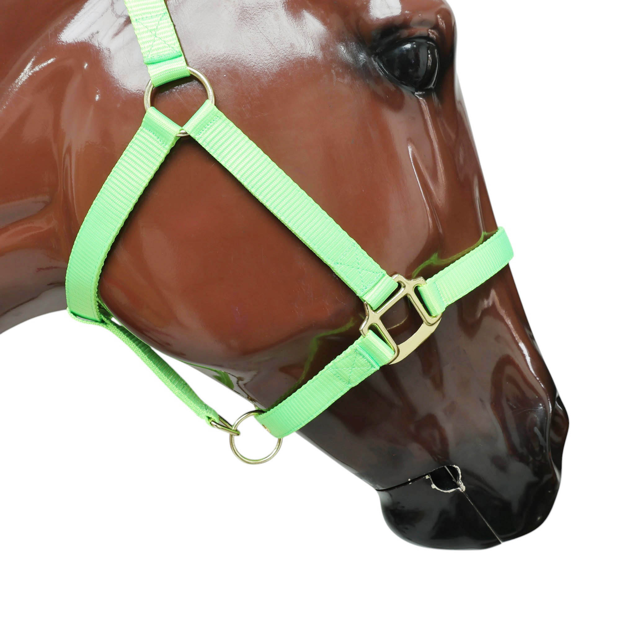Nylon Halter with Zinc Hardware (MNYH 114306) - Image 6
