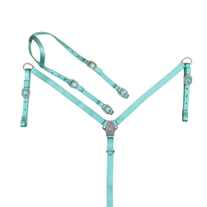 Nylon Headstall Set with Nickel Plated Fittings (HSBM 114508)