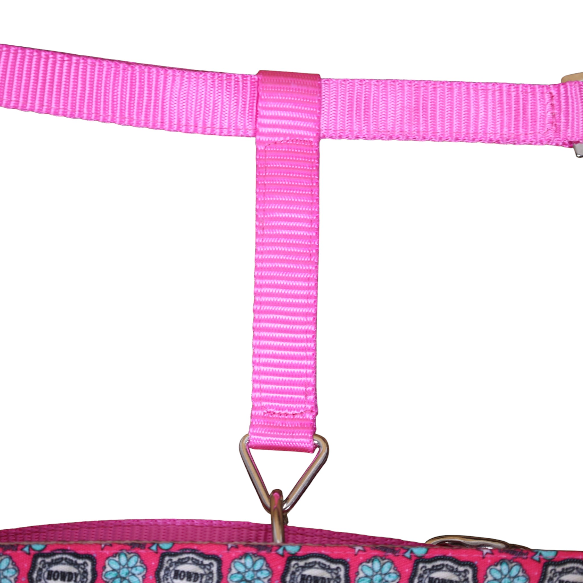 Howdy Print Nylon Horse Halter with Iron Hardware (MNYH 114313) - Image 3