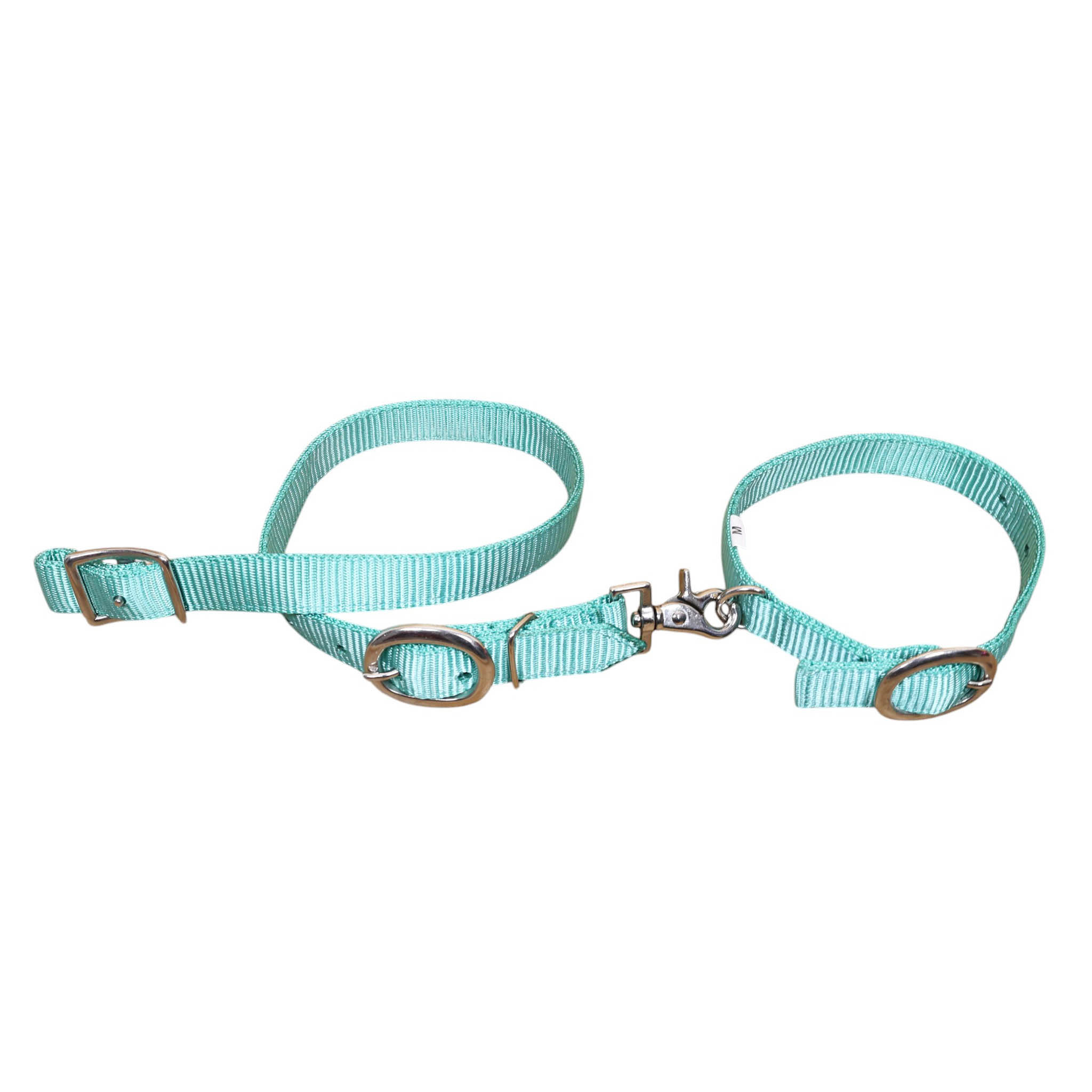 Nylon Dog Collar with Nickel Plated Hardware (MSYDOC 114314)