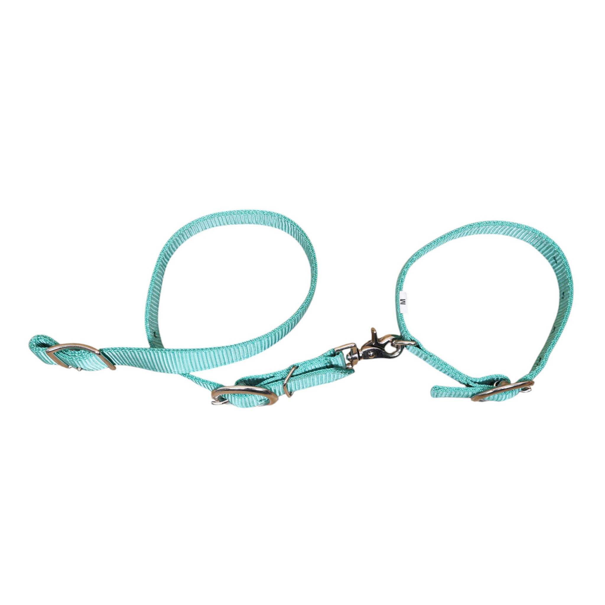 Nylon Dog Collar with Nickel Plated Hardware (MSYDOC 114314) - Image 2