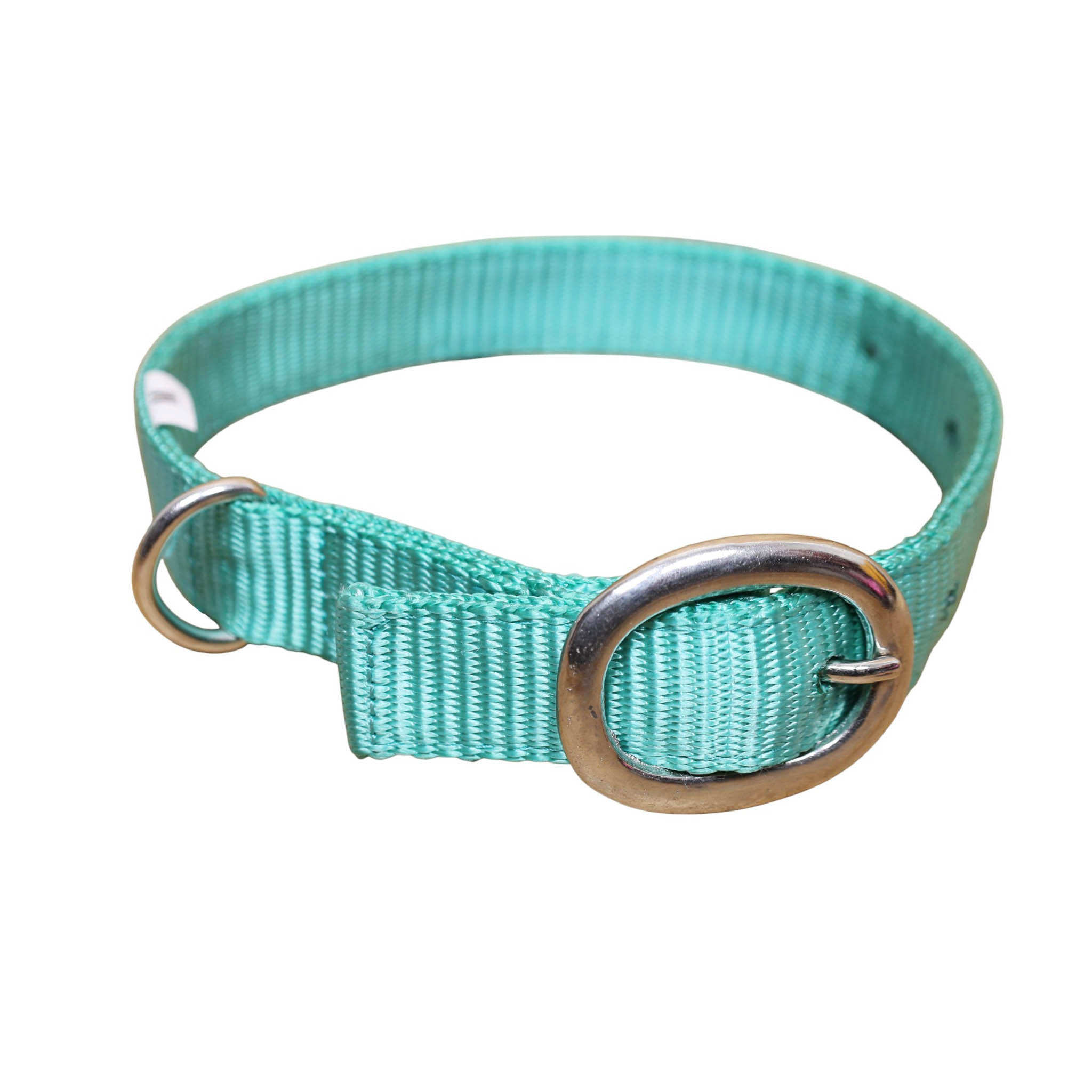 Nylon Dog Collar with Nickel Plated Hardware (MSYDOC 114314) - Image 5