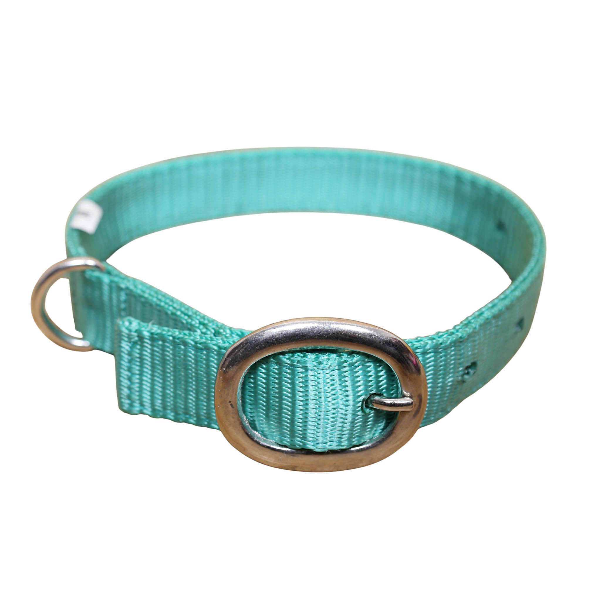 Nylon Dog Collar with Nickel Plated Hardware (MSYDOC 114314) - Image 6