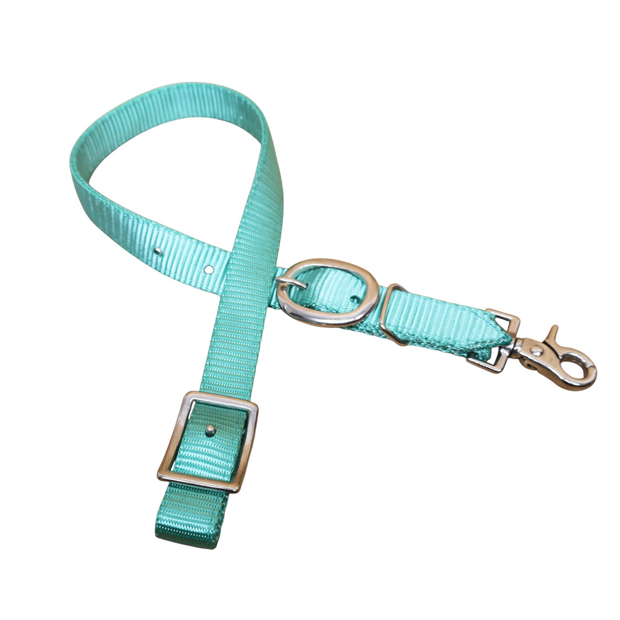 Nylon Dog Collar with Nickel Plated Hardware (MSYDOC 114314) - Image 8