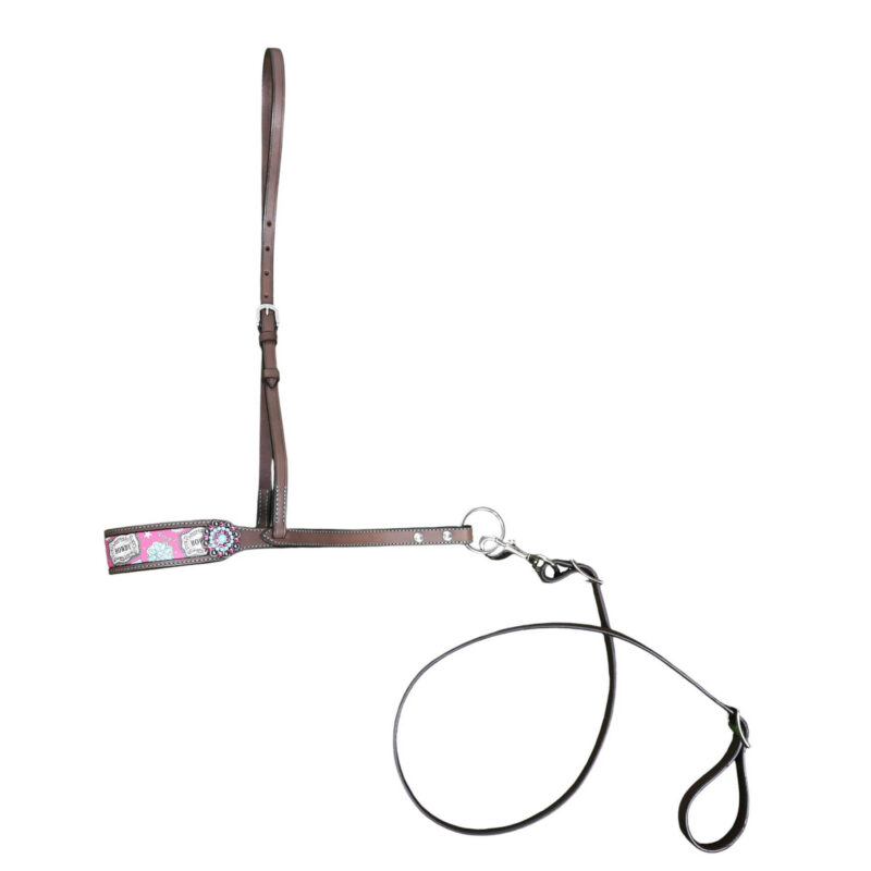 Western Leather Howdy Print Noseband Tie Down With Leather Strap And Turquoise Conchos (TDM 490328)